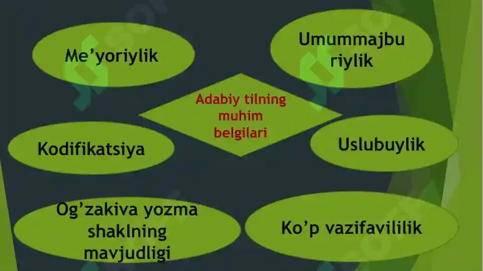 Prezentatsiya mahsuloti "Hozirgi O'zbek adabiy tili va shevalarlari" 8
