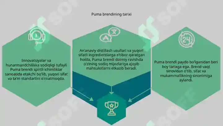 Puma brendi 3