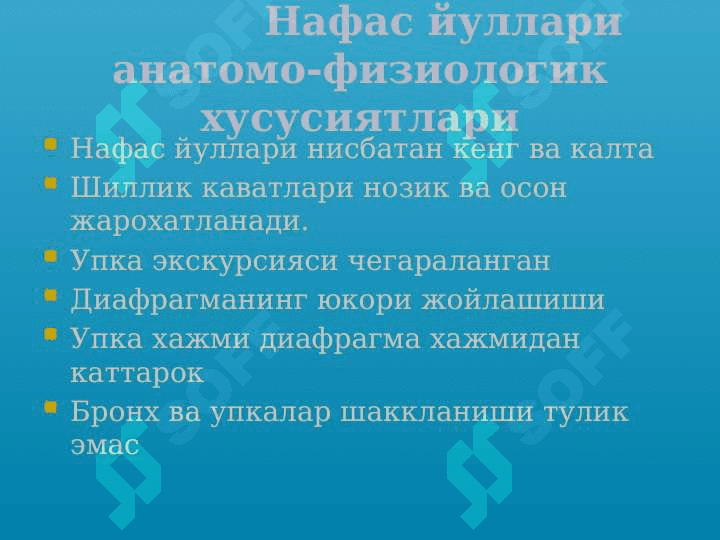Ўткир зотилжам 5