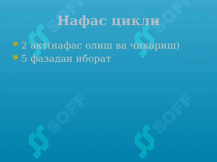 Ўткир зотилжам 7