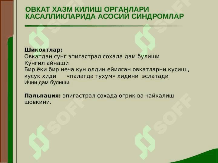МЕЪДА ИЧАК ТИЗИМИ КАСАЛЛИКЛАРИДА АСОСИЙ КЛИНИК СИНДРОМЛАР 4