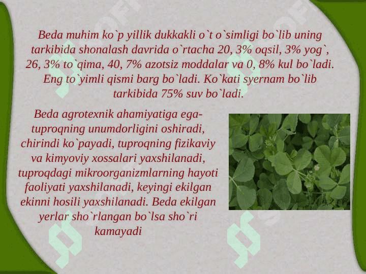 YEM-XASHAK O’TLARNING AHAMIYATI, BIOLOGIYASI 3