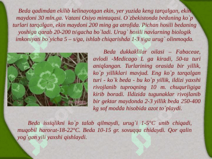 YEM-XASHAK O’TLARNING AHAMIYATI, BIOLOGIYASI 4