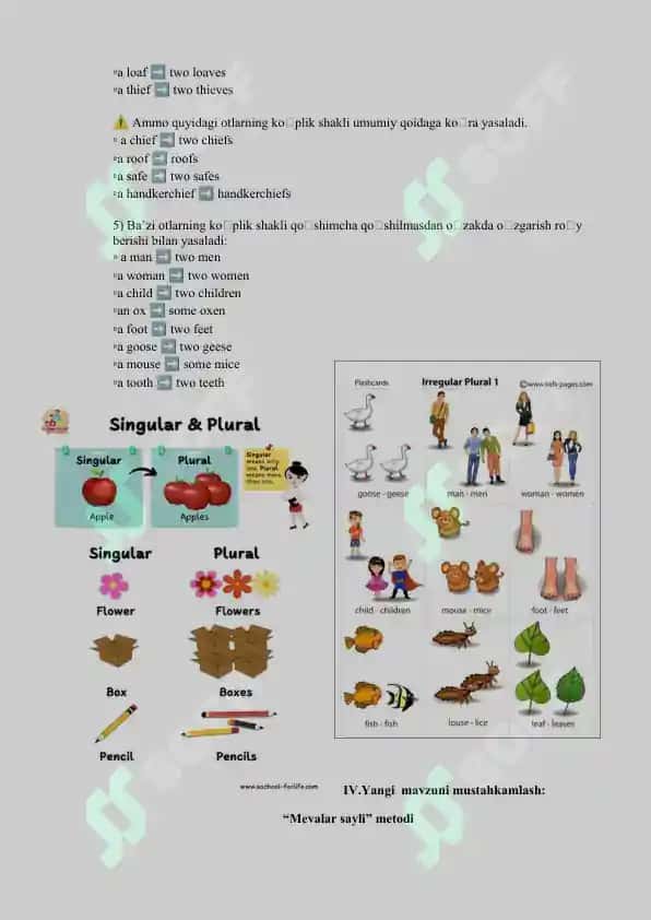 2-sinflar uchun guess what kitobidan dars ishlanma 4
