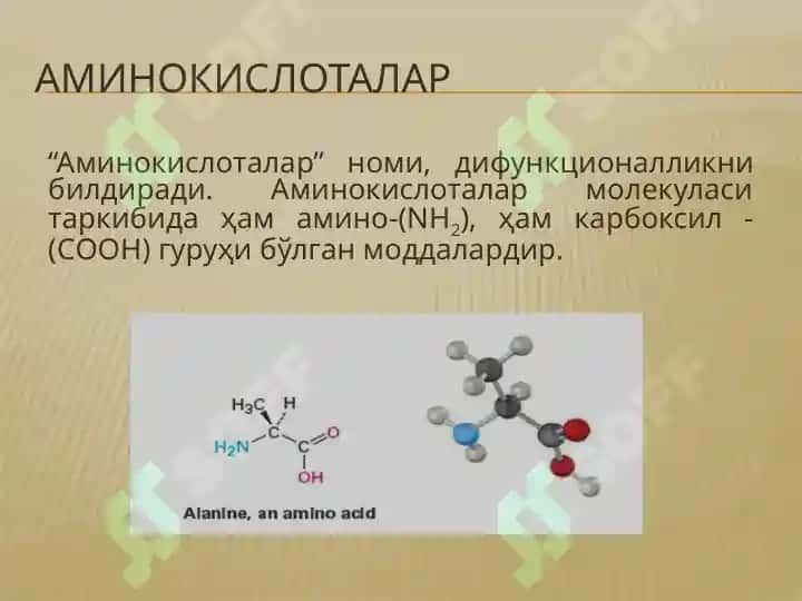 Аминокислоталар ва оқсиллар 2