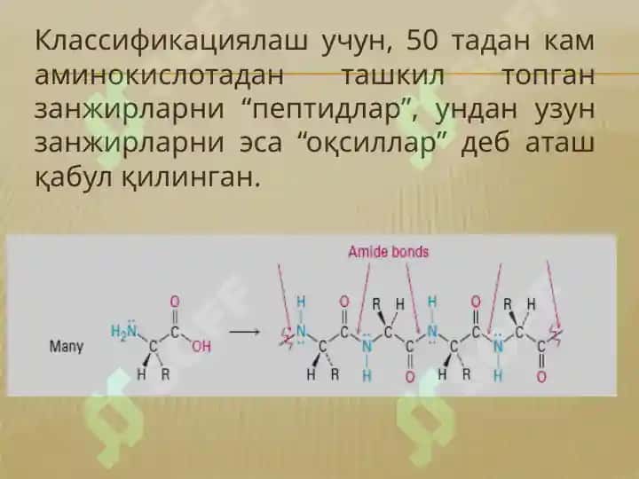 Аминокислоталар ва оқсиллар 3