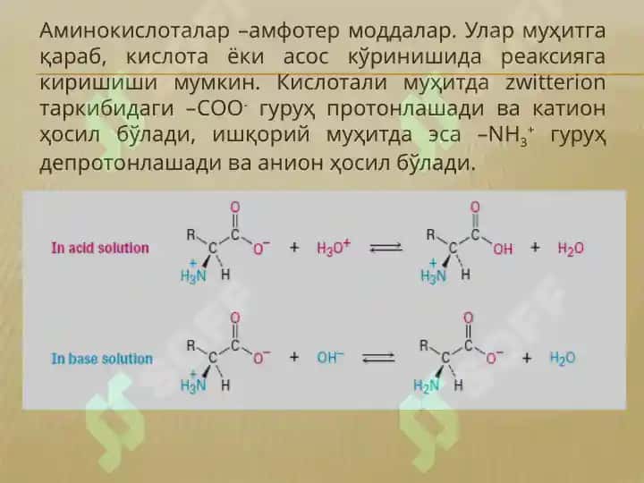 Аминокислоталар ва оқсиллар 4