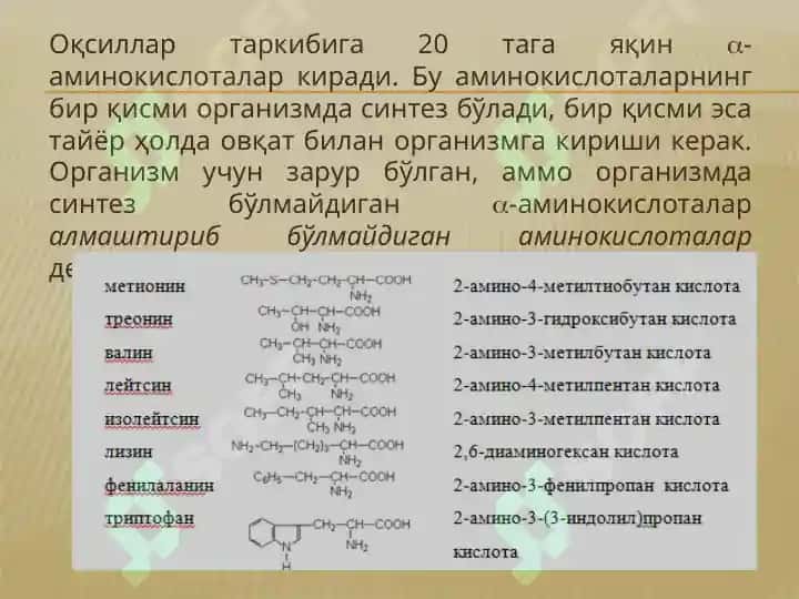 Аминокислоталар ва оқсиллар 8