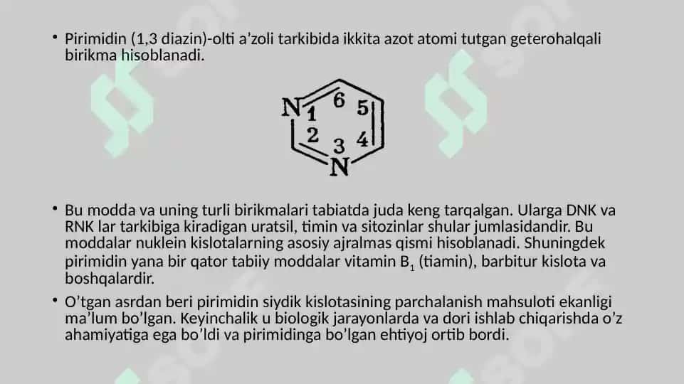 pirimidin 3