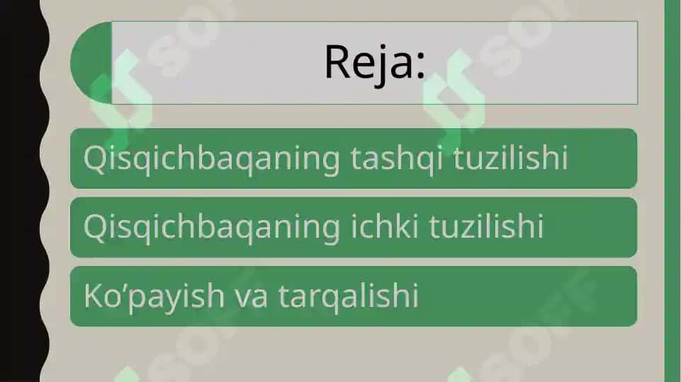Qisqichbaqasimonlarga umumiy ta’rif 2