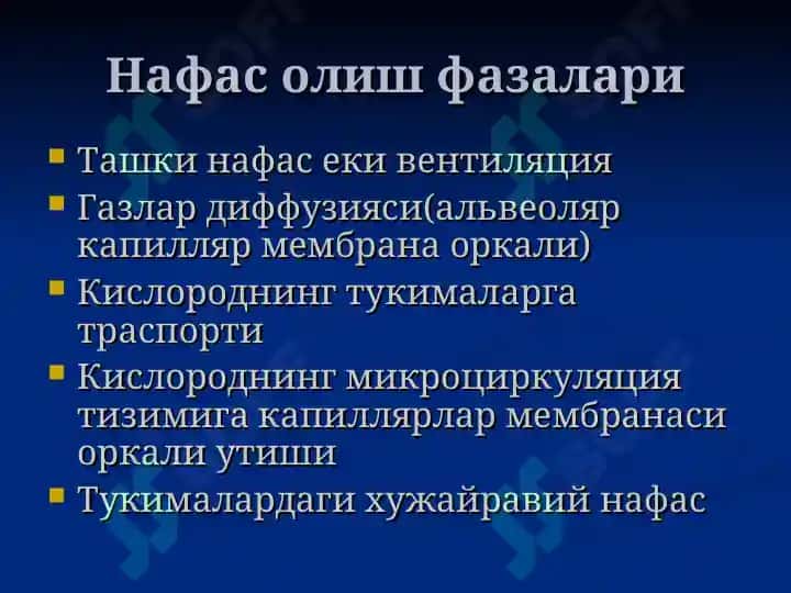 Уткир зотилжам 8