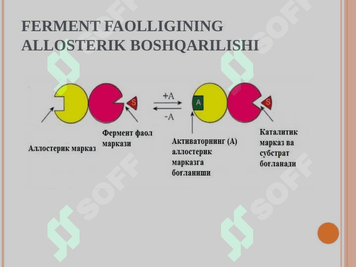 Fermentlar faolligining boshqarilishi 3
