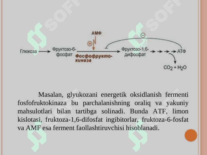Fermentlar faolligining boshqarilishi 5