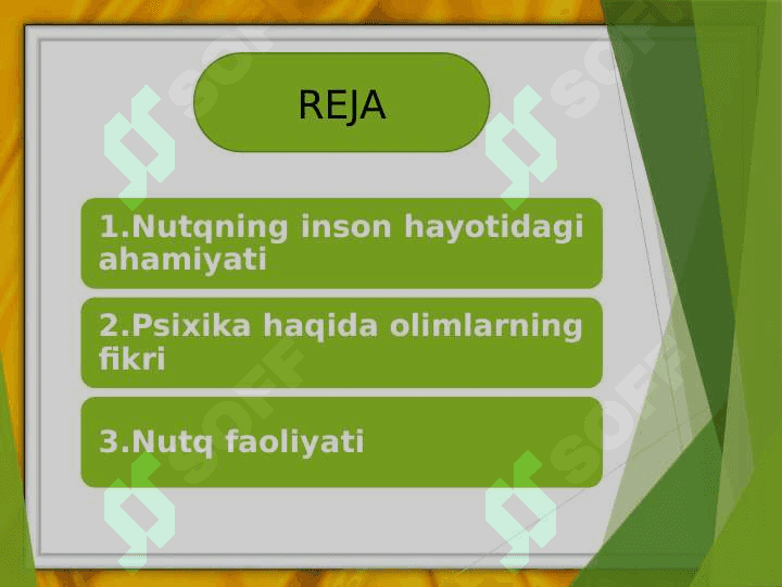 Psixik jarayonlarning vujudga kelishida nutqning ahamiyati 2