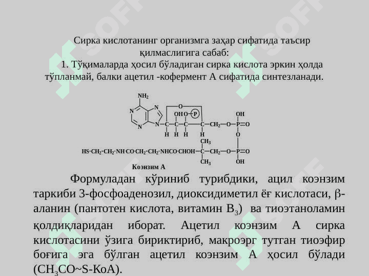 Biologik oksidlanish. Katabolizmning umumiy yullari 3
