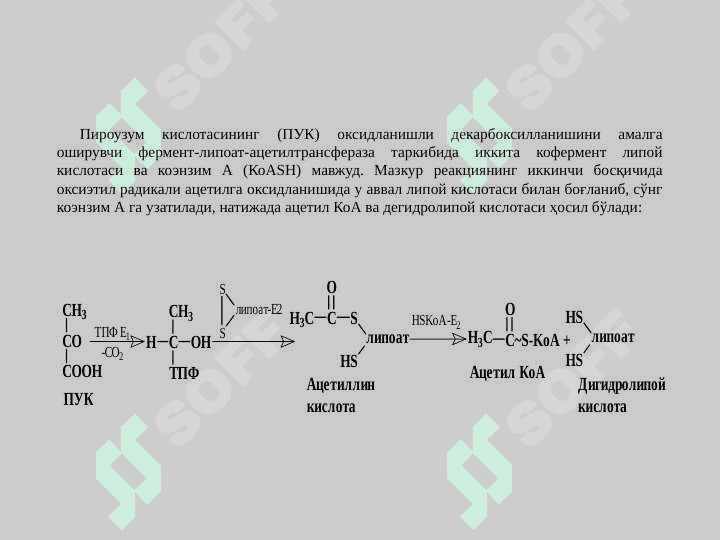 Biologik oksidlanish. Katabolizmning umumiy yullari 5