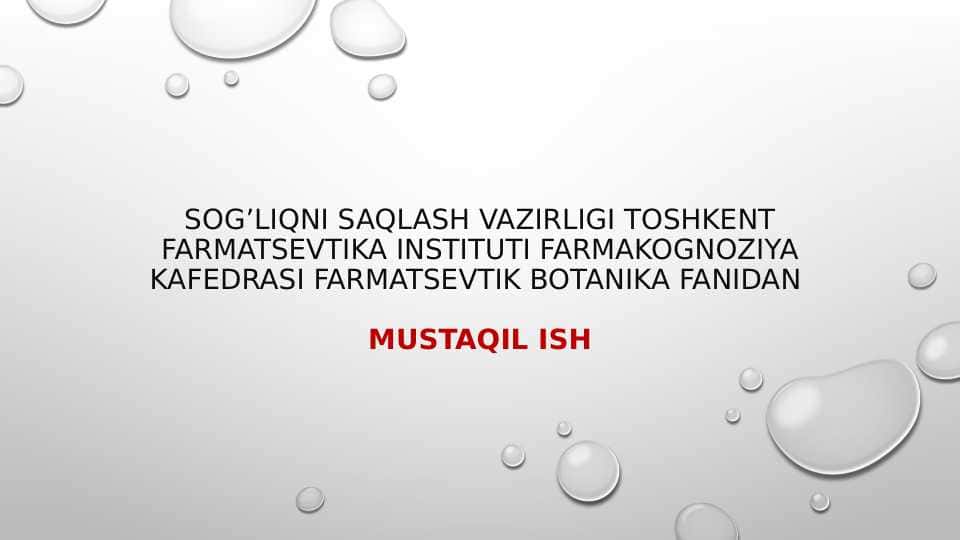 O'simliklarda qutublanish, yuksak o'simliklarning vegetativ organlari 1