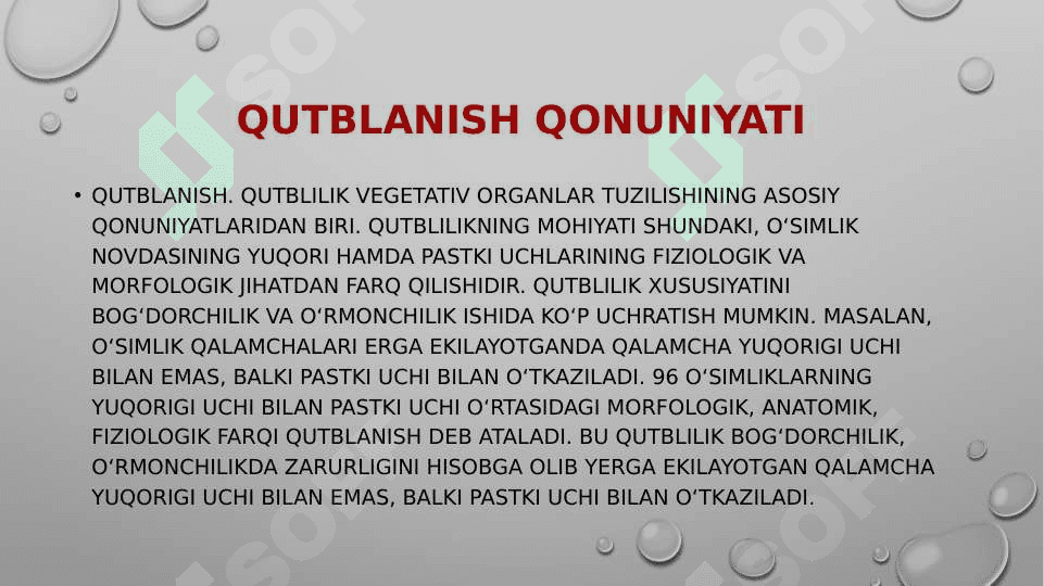 O'simliklarda qutublanish, yuksak o'simliklarning vegetativ organlari 3
