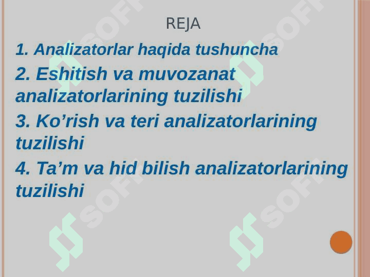 Analizatorlarning tuzilishi, funksiyalari va yoshga xos xususiyatlari 2