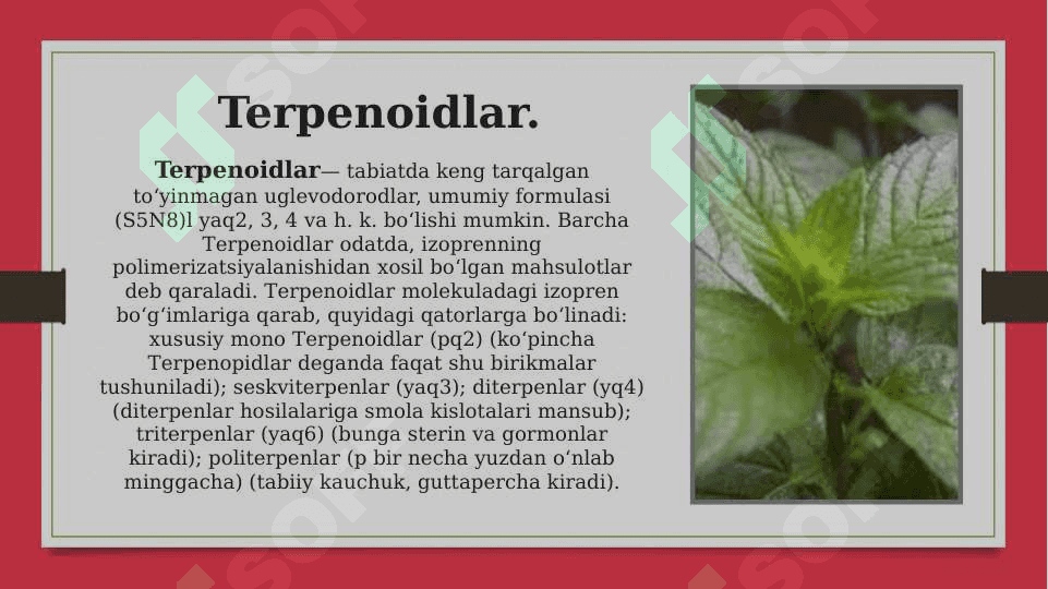 Terpenoidlardan olinadigan dori moddalarni olish usullari 2