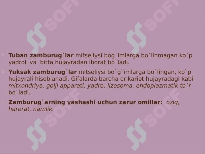 Zamburug'lar 6