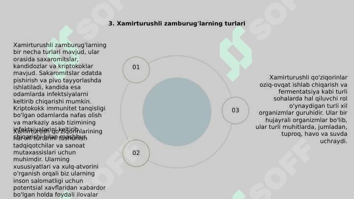 Achitqi zamburug'lar 5