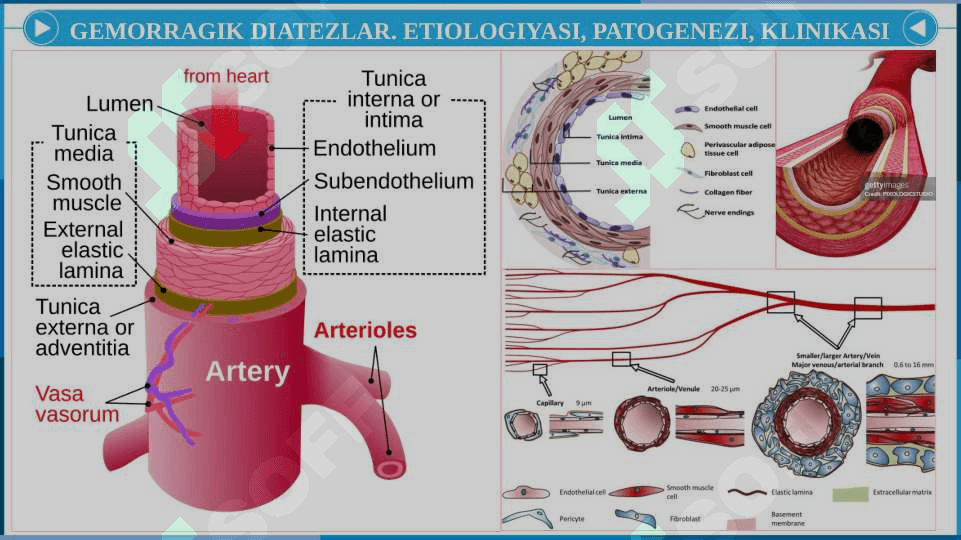 Gemorragik diatezlar. Trasfuzion asoratlar 7