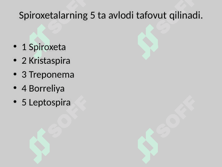 BAKTERIYALARNI STRUKTURASI VA MORFOLOGIYASI 6