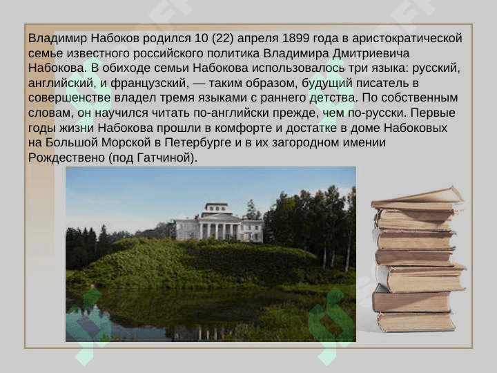 В. В. Набоков 2