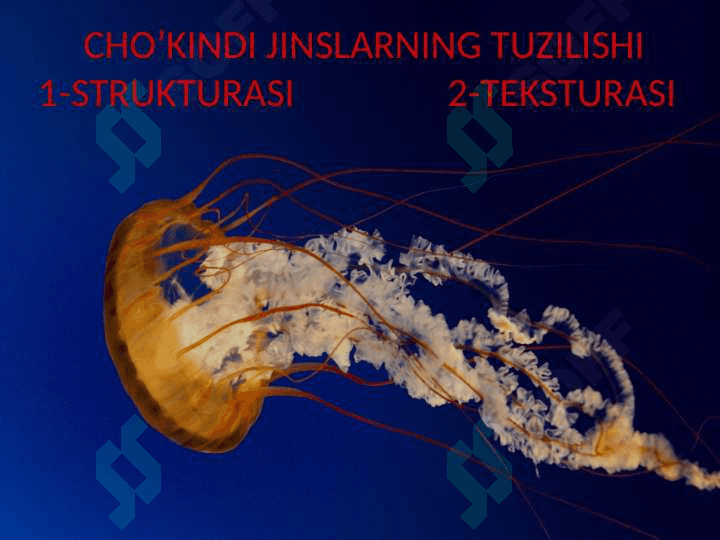 Cho’kindi tog’ jinslarni strukturasi va teksturasi 4