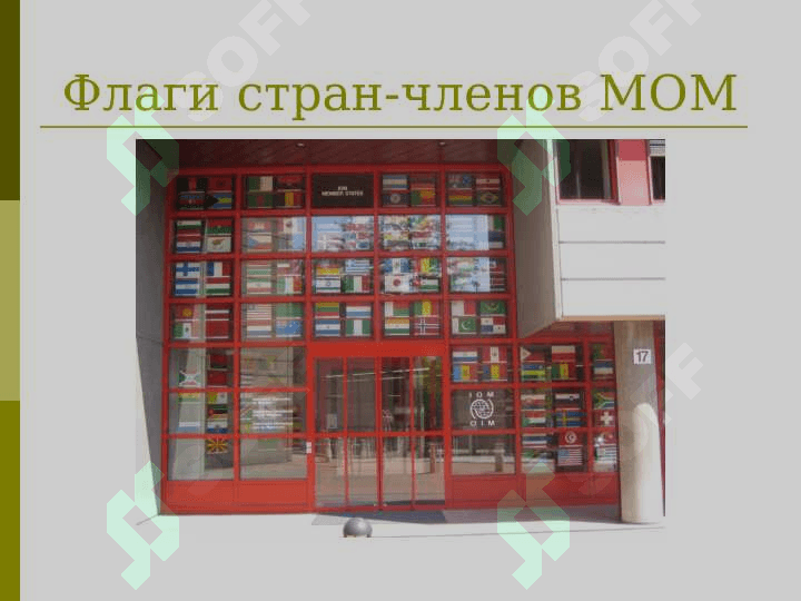 Международные организации по миграции 6