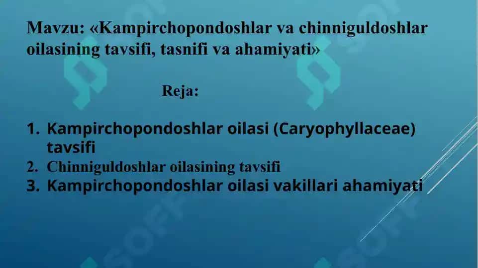 Kampirchopondoshlar va chinniguldoshlar oilasi 2
