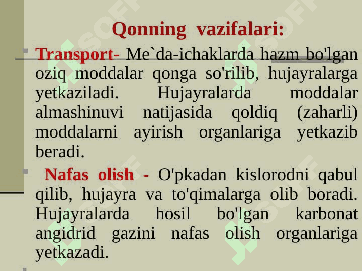 QON TOMIR VA LIMFA TIZIMI 4