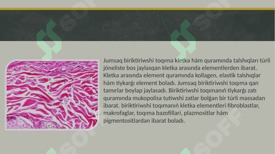 BIRIKTIRIWSHI TOQIMA 6