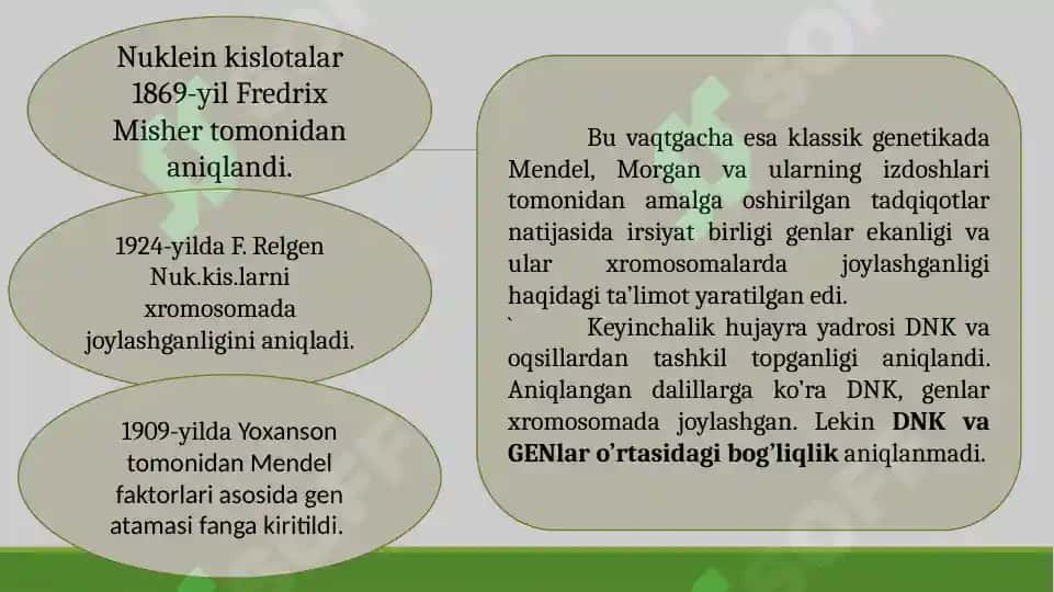 Gen konsepsiyasi haqida tushuncha 2
