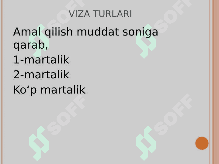 Viza tiplari 4