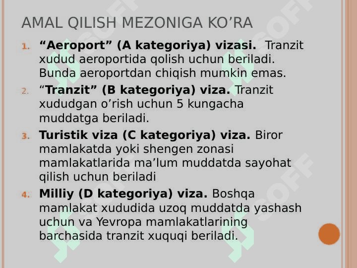 Viza tiplari 5