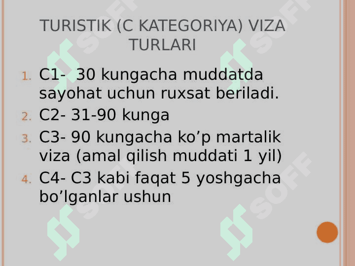 Viza tiplari 6