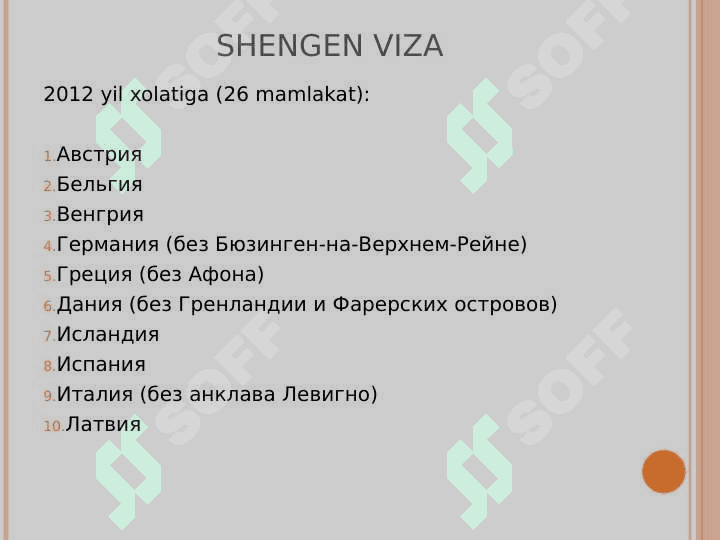 Viza tiplari 7