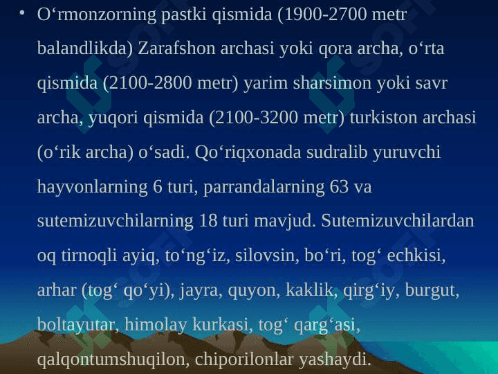 Zomin tog‘-o‘rmon qo‘riqxonasi 5