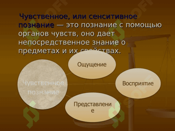 Мышление и чувственное познание интеллект 3