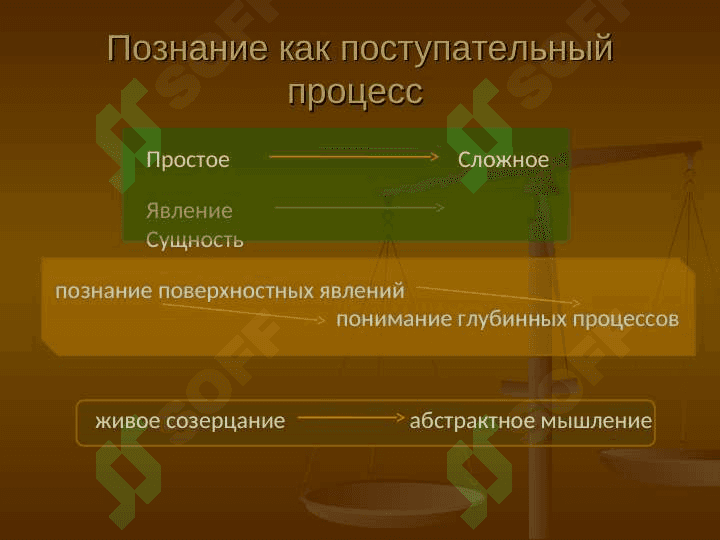Мышление и чувственное познание интеллект 7