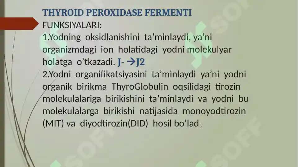 Qalqonsimon bez gormonlari 4