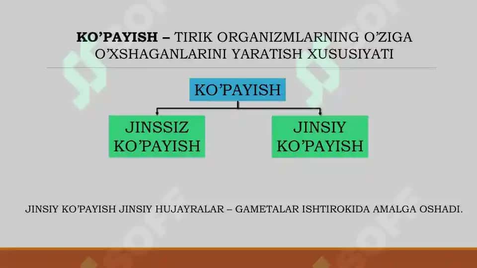 Gulli O'simliklarning Ko'payishi va Tarqalishi 2