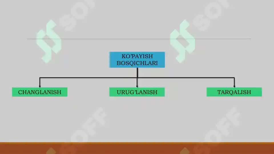 Gulli O'simliklarning Ko'payishi va Tarqalishi 3