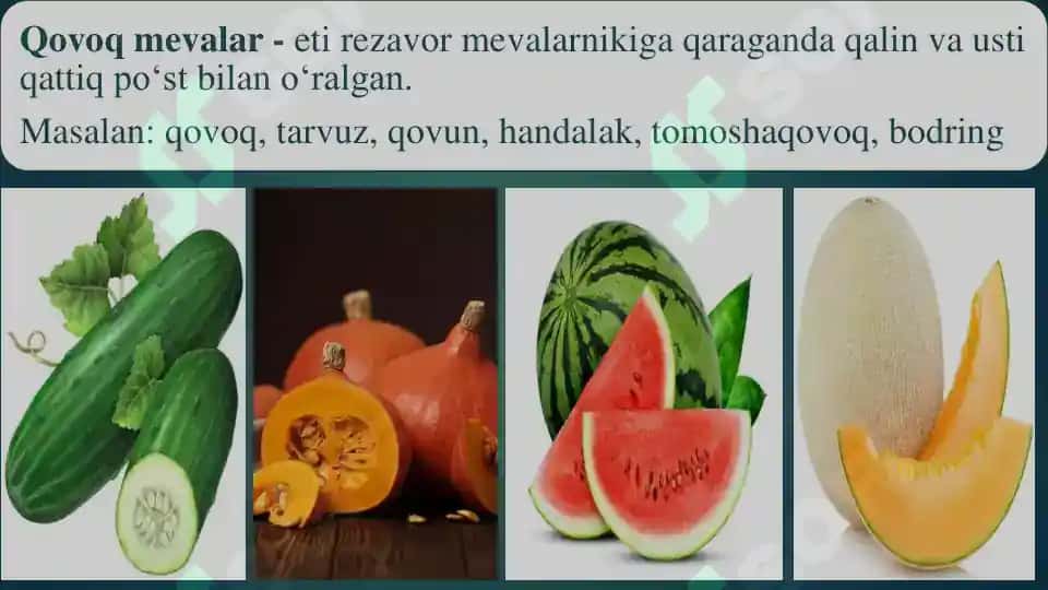 Meva va urug’ 7