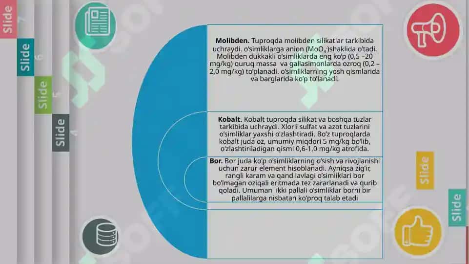 Mikroelementlar va ularning qishloq xo'jaligidagi ahamiyati. 4