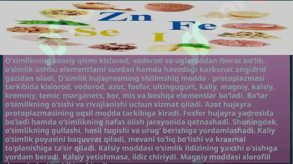 Mikroelementlar va ularning qishloq xo'jaligidagi roli 2