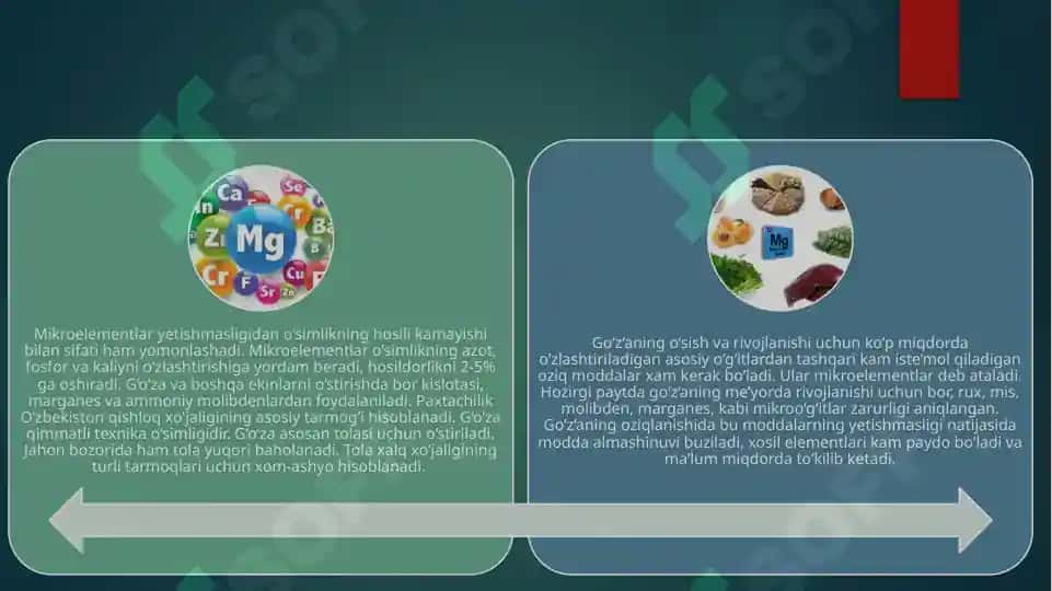 Mikroelementlar va ularning qishloq xo'jaligidagi roli 3