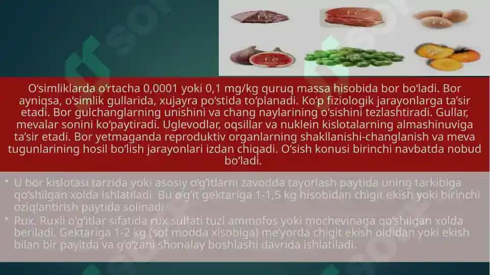Mikroelementlar va ularning qishloq xo'jaligidagi roli 4